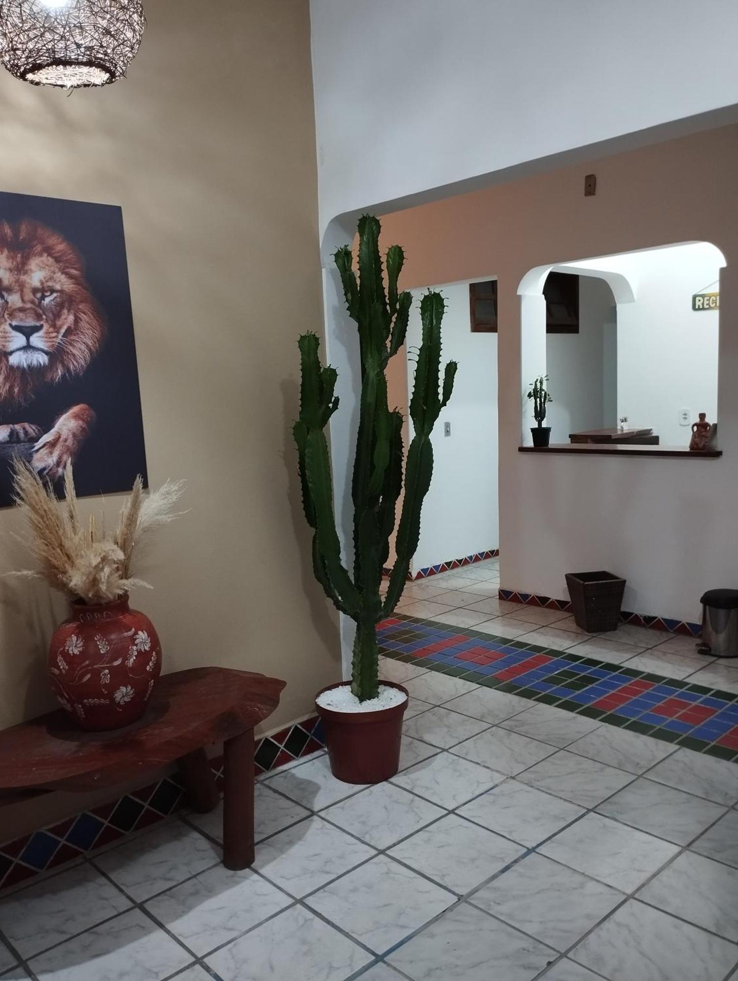 Pousada Ray Sol - Centro Arraial D Ajuda ポルトセグロ エクステリア 写真